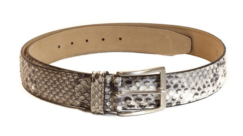 Jayden Python Belt