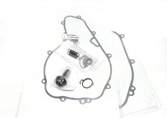 Eagle Mike Complete Doohickey Kit w/ Torsion Spring, OEM Gaskets,  Rotor Bolt
