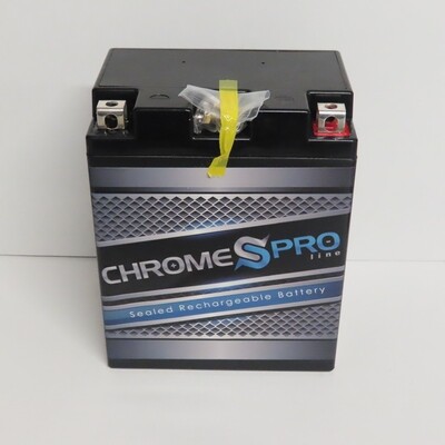 YTX14AHL-BS Sealed AGM Power Sports Battery