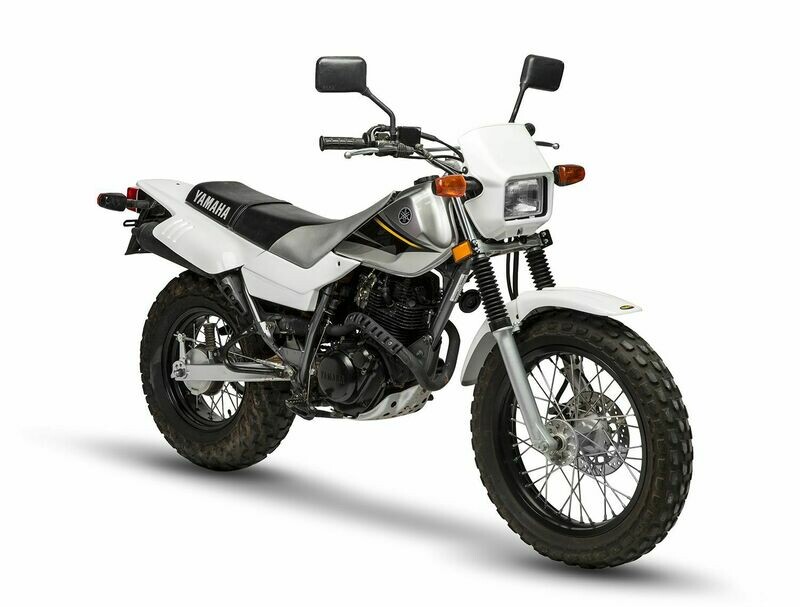 YAMAHA　TW200 ❶  おまけシート付き 2246865699.jpg