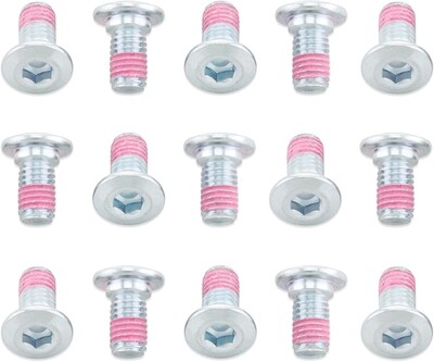 1987-2018 KLR650 Rotor Bolts (15 pack)