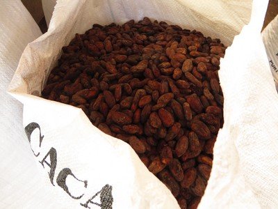Kakaobohnen ab 1 Sack