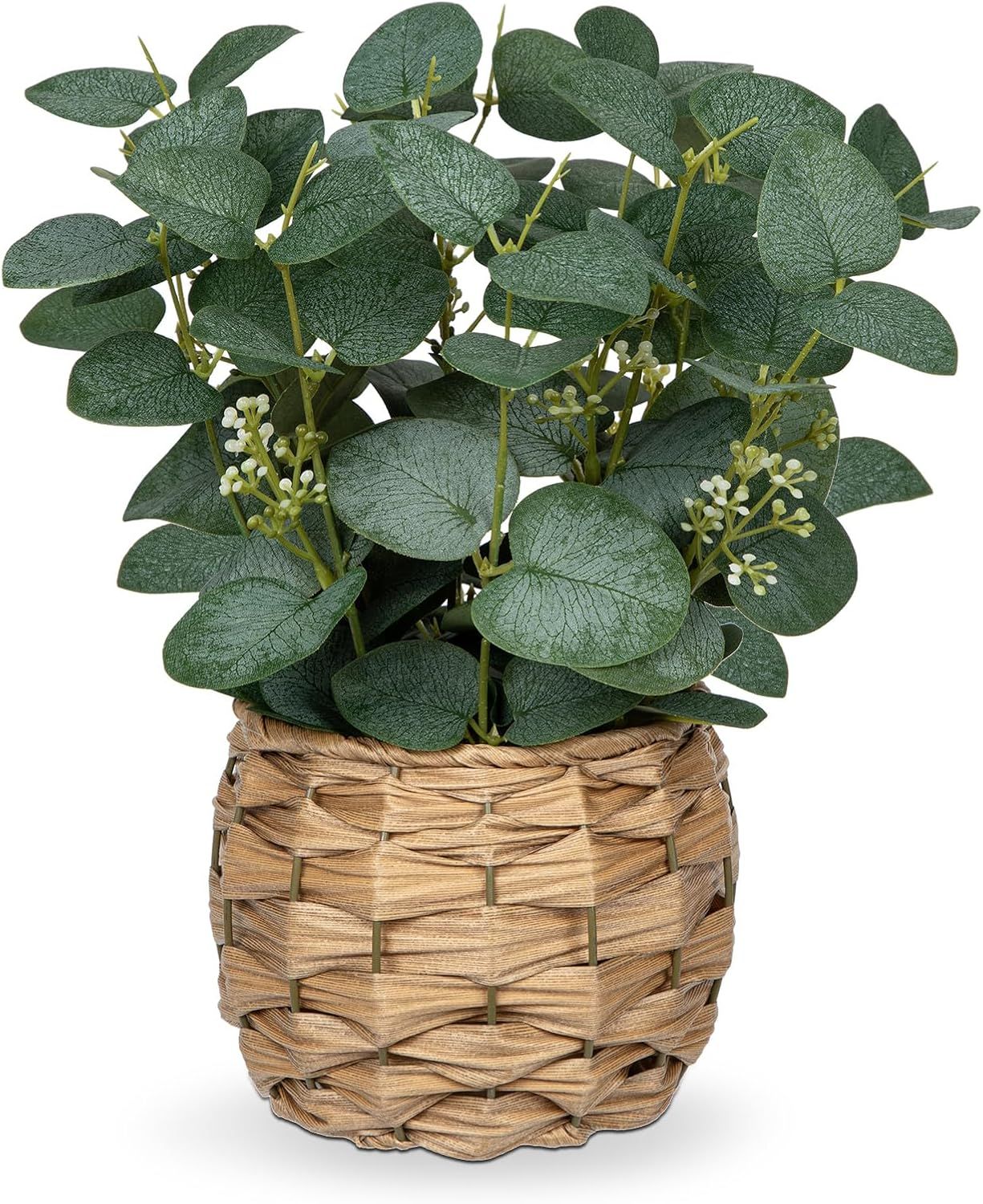 Silk Eucalyptus Woven Cane Pot Plant