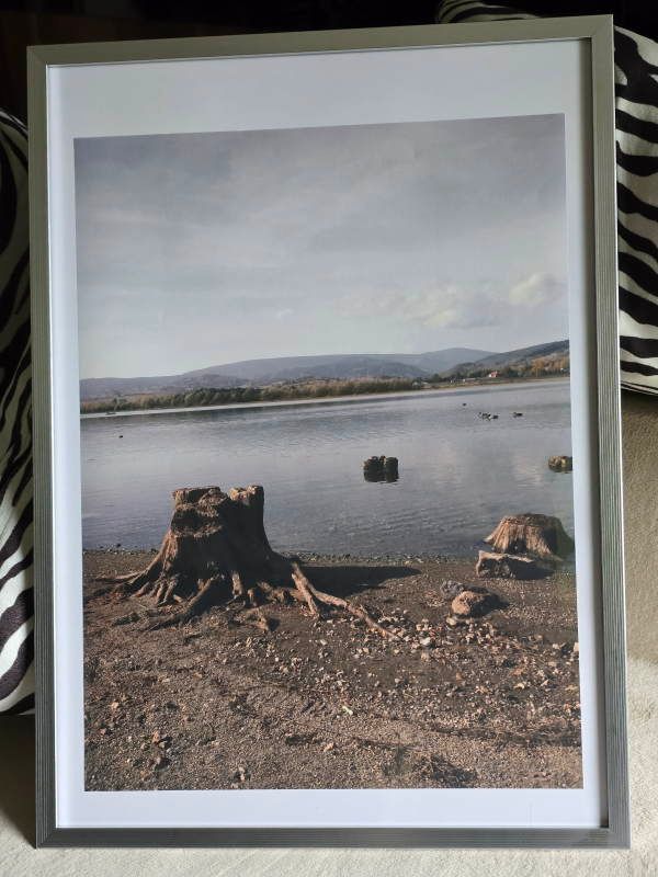 Fotografia - Bukówka 2018