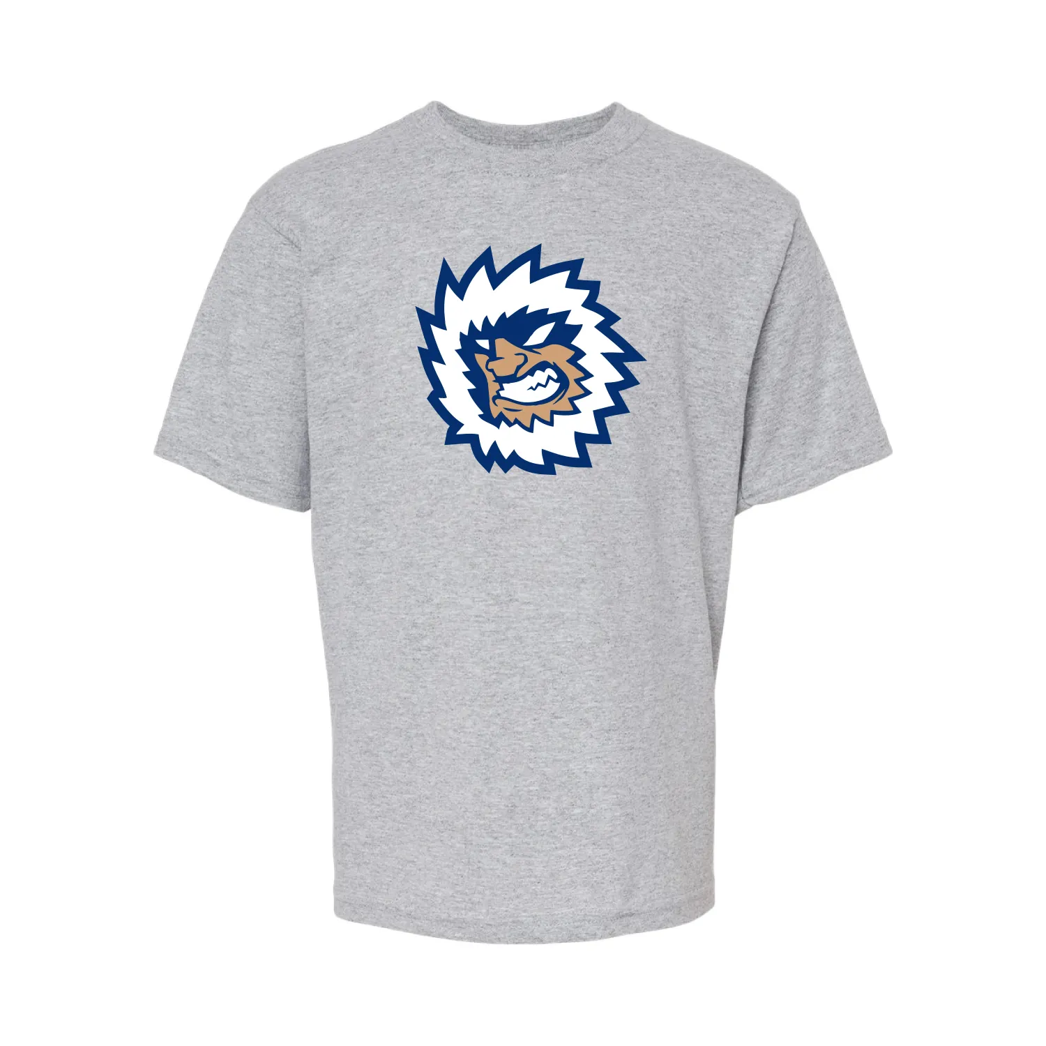 Jacksonville Icemen Youth Athletic Grey Secondary Logo Soft Touch T-Shirt