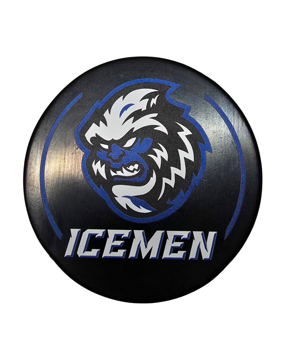 New Secondary/Head Logo Puck