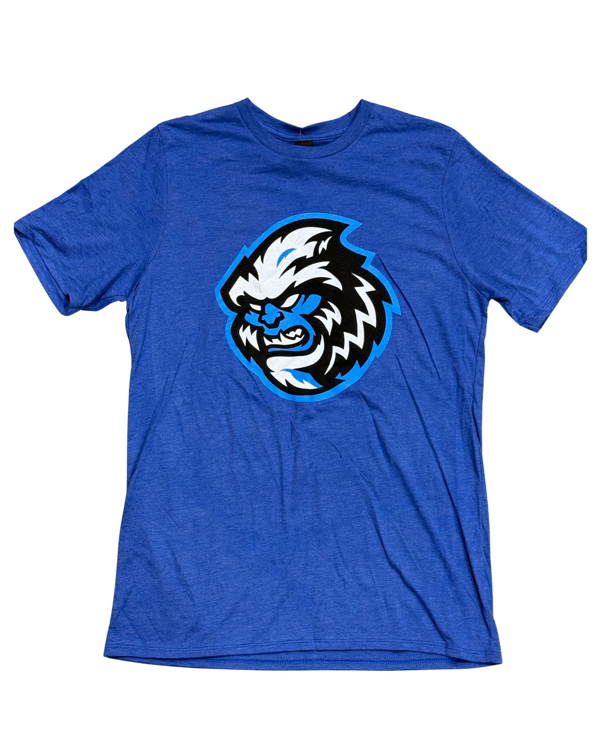 Jacksonville Icemen District Royal Frost Youth Head Logo Tri Tee