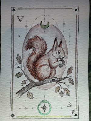 Eekhoorn