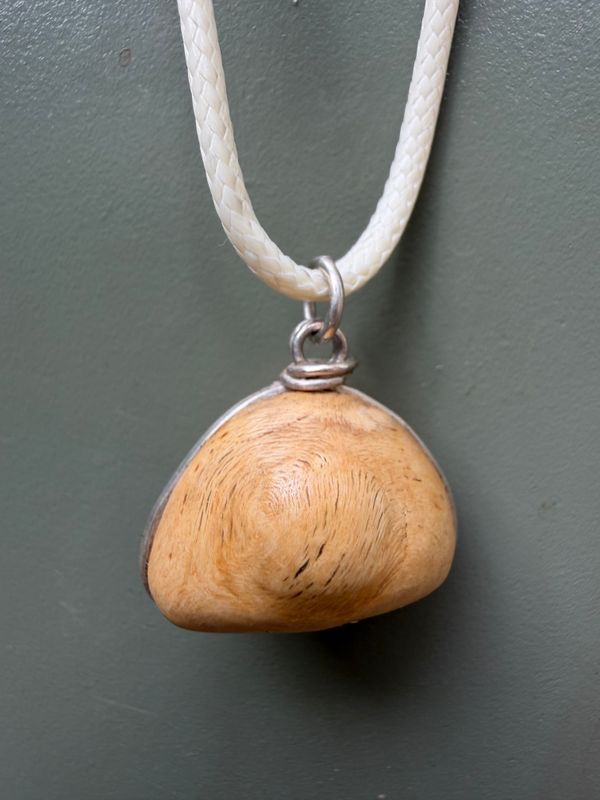 ketting van boomkraal beuk