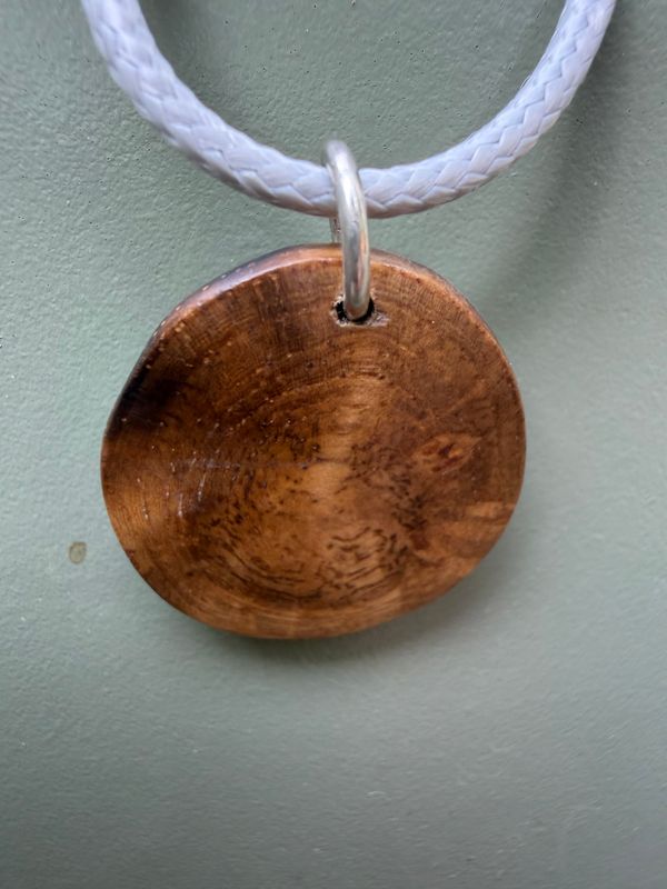 ketting van boomparel beuk