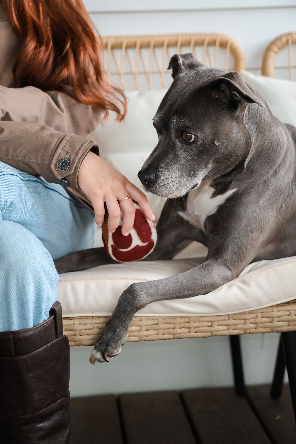 Boiled Wool Steak Dog Toy