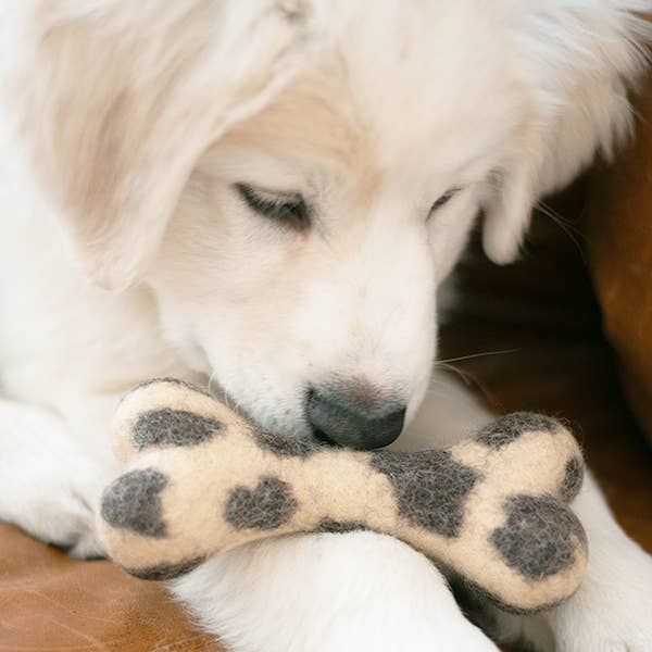 MB x House of Sploot WOOLBONE Dog Toy