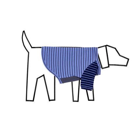 Dog Clothing &amp; Wear