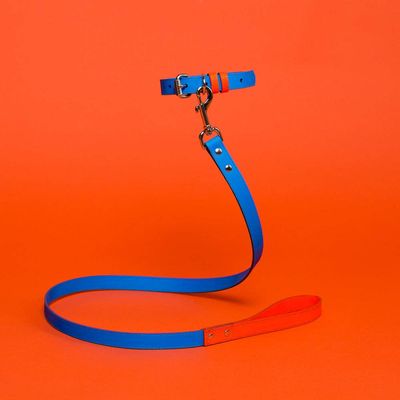 Blue/Orange Leather Leash and Collar