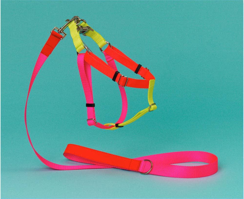 NYLON COLOR BLOCK HARNESS PINK/ORANGE/YELLOW