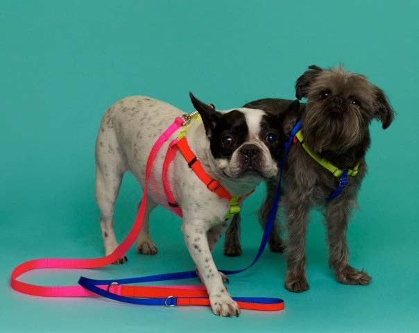 NYLON COLOR BLOCK HARNESS PINK/ORANGE/YELLOW