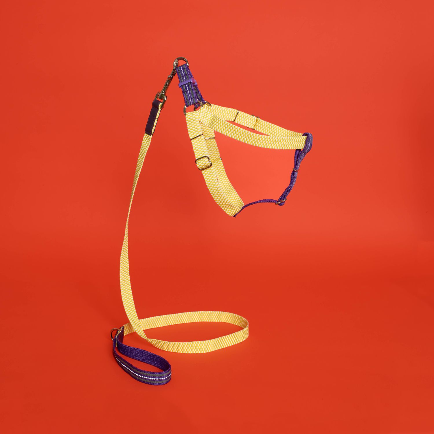 Yellow Striped/Checked Webbing Harness 
