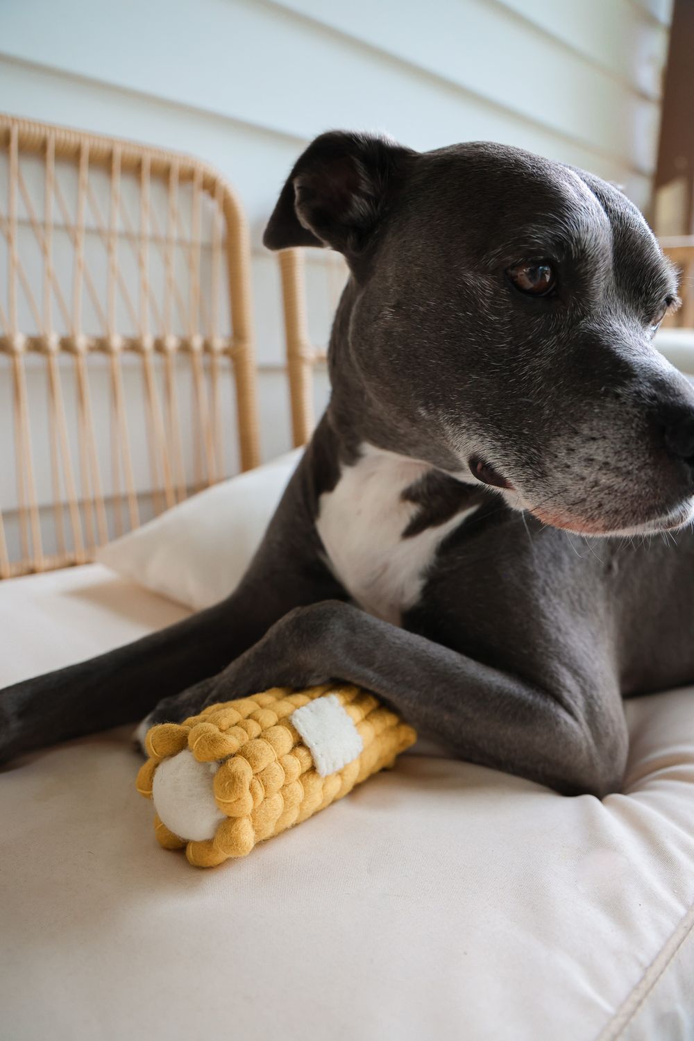 Boiled Wool Corn Dog Toy