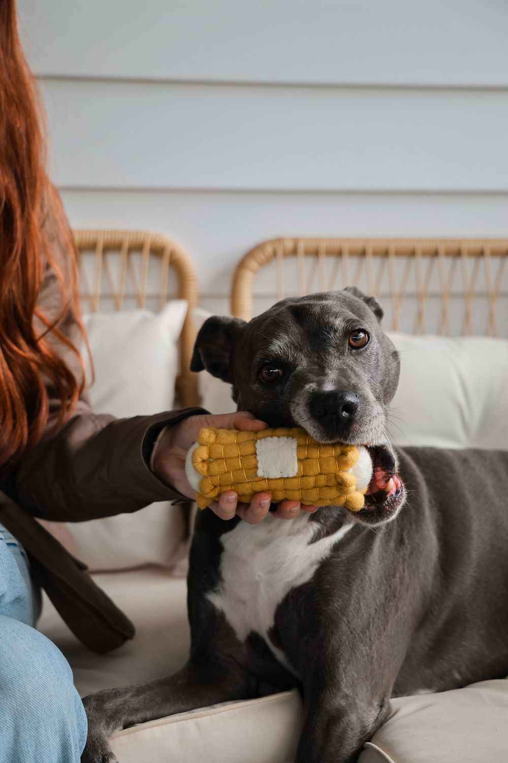 Boiled Wool Corn Dog Toy