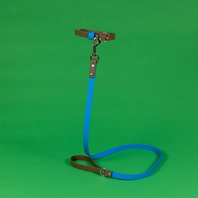 Blue/Olive Waterproof Leash / Collar