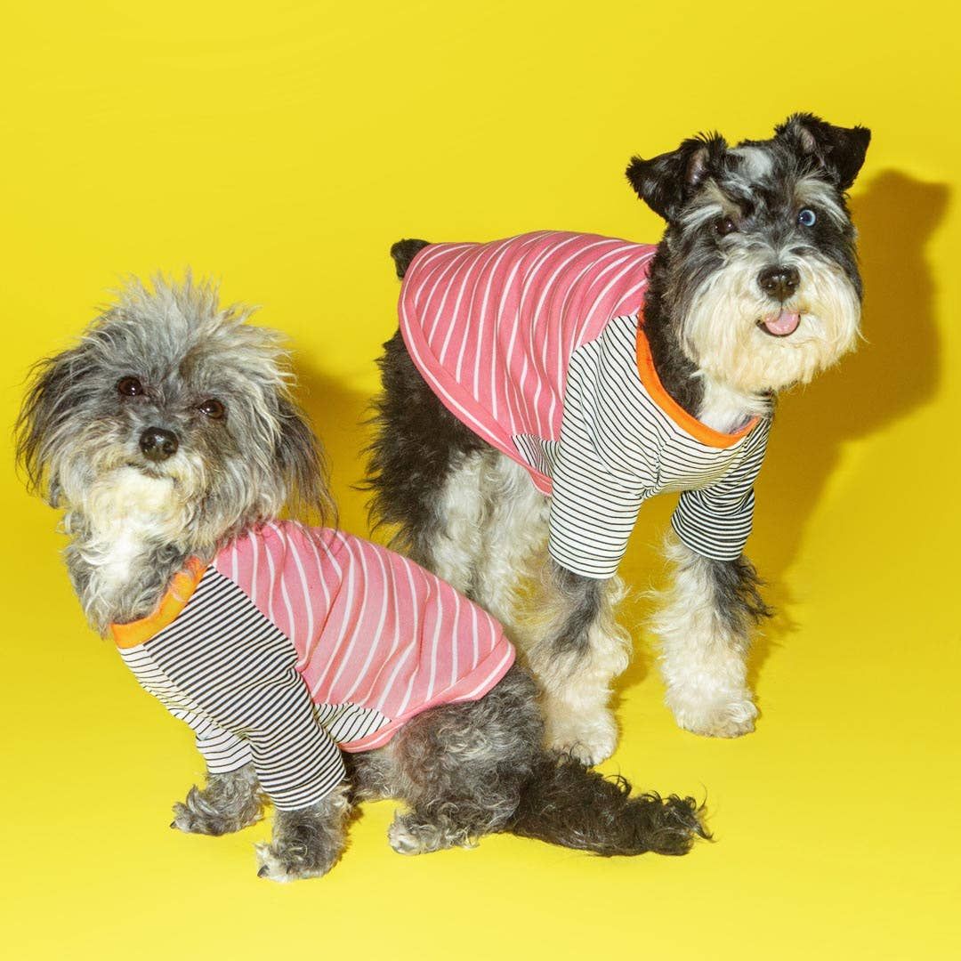 Pink &amp; White Crazy Striped T-Shirt