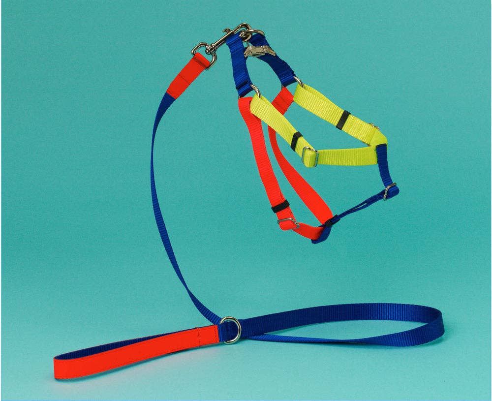 Nylon Color Block Harness Orange/Yellow/Blue, Size: Large - 1"