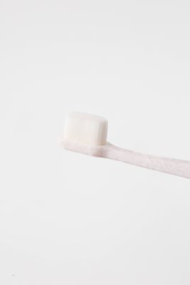 Puppy Polisher Eco Toothbrush