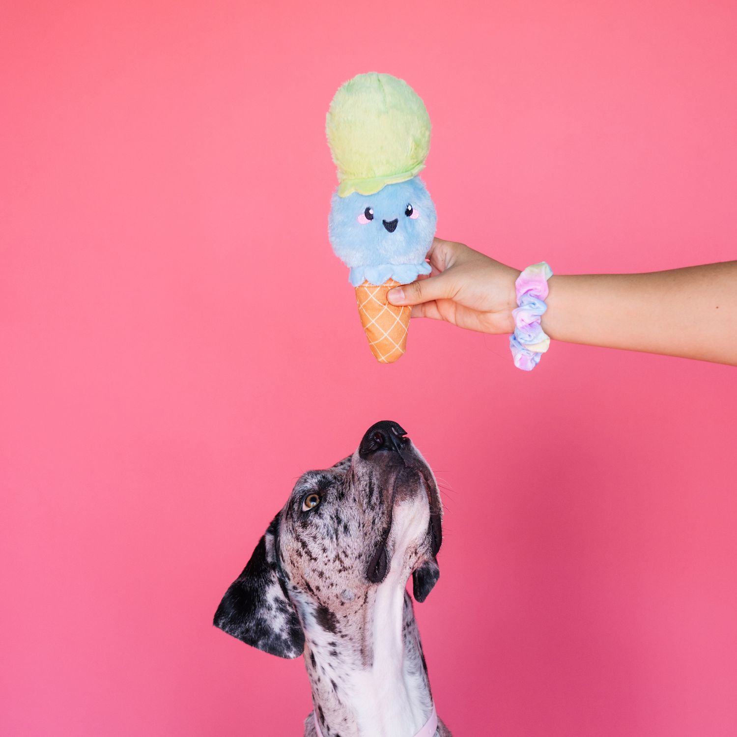 Ice Cream Cone Summer Dog Toy with Crinkle &amp; Squeak