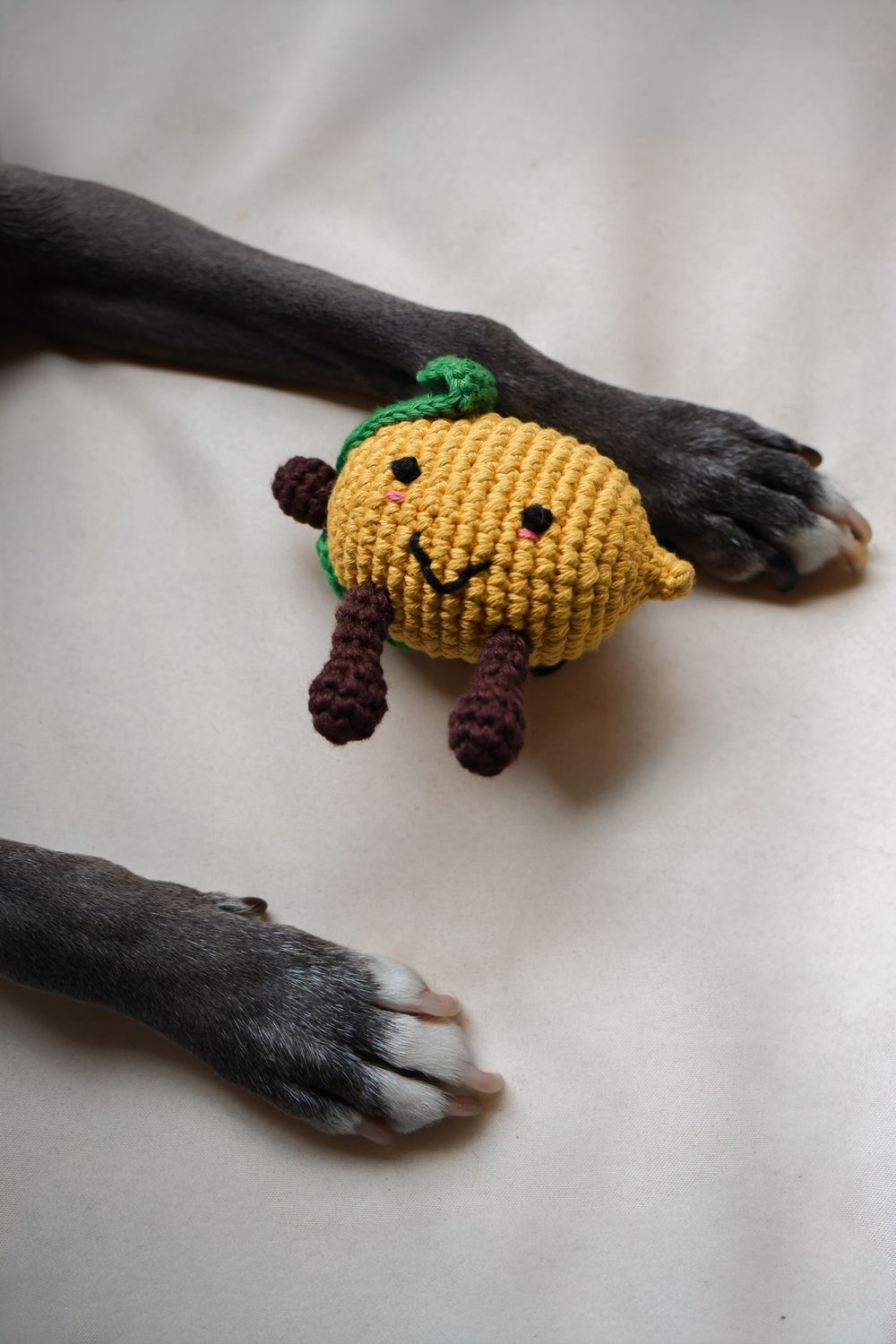 Cotton Crochet Lemon Dog Toy