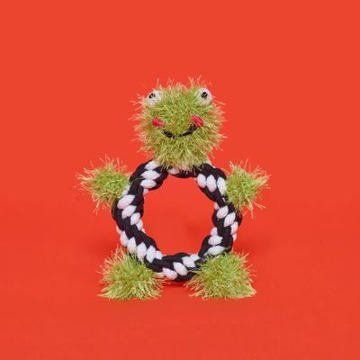 Frog Rope Dog Toy