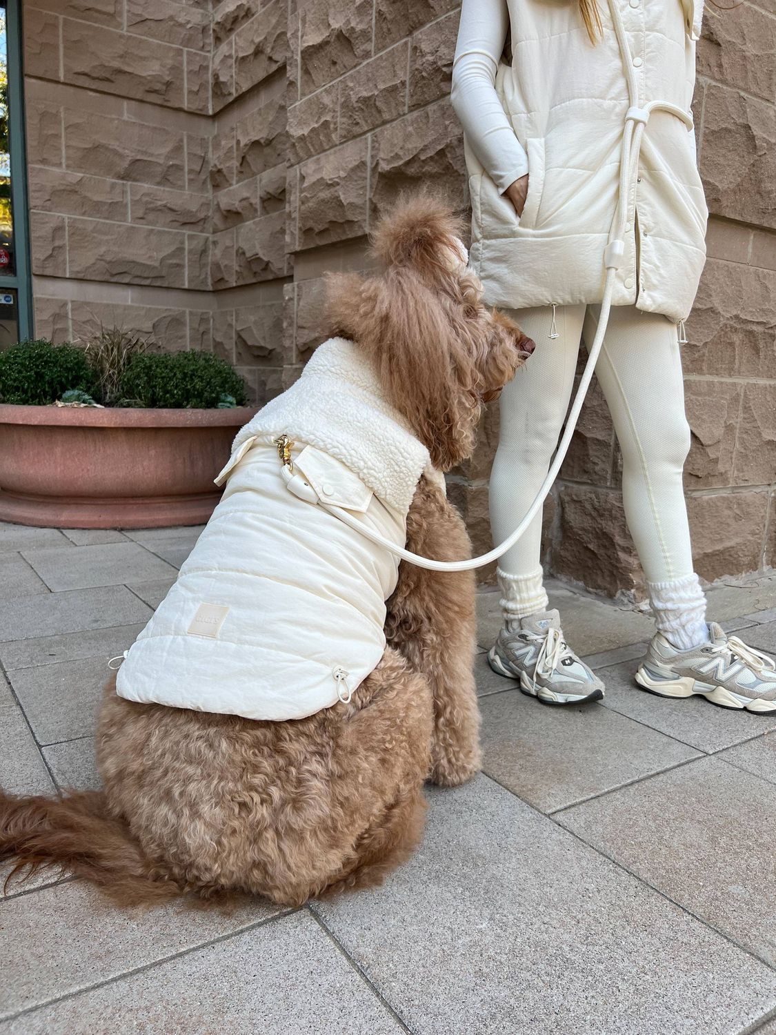 Comfort Cloud Hands-Free Leash - Mocha