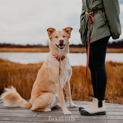 Hands-Free Dog Leash Waterproof and Handmade