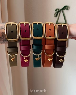 Waterproof Biothane Dog Collar
