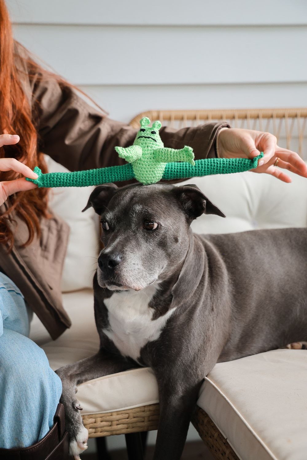 Hand Crochet Frog Dog Toy
