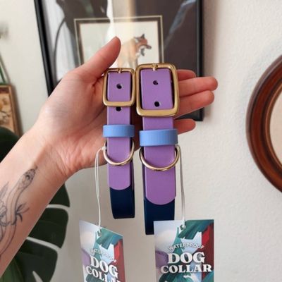 Waterproof Dog Collar &amp; Leash | Cosmic Berry Design