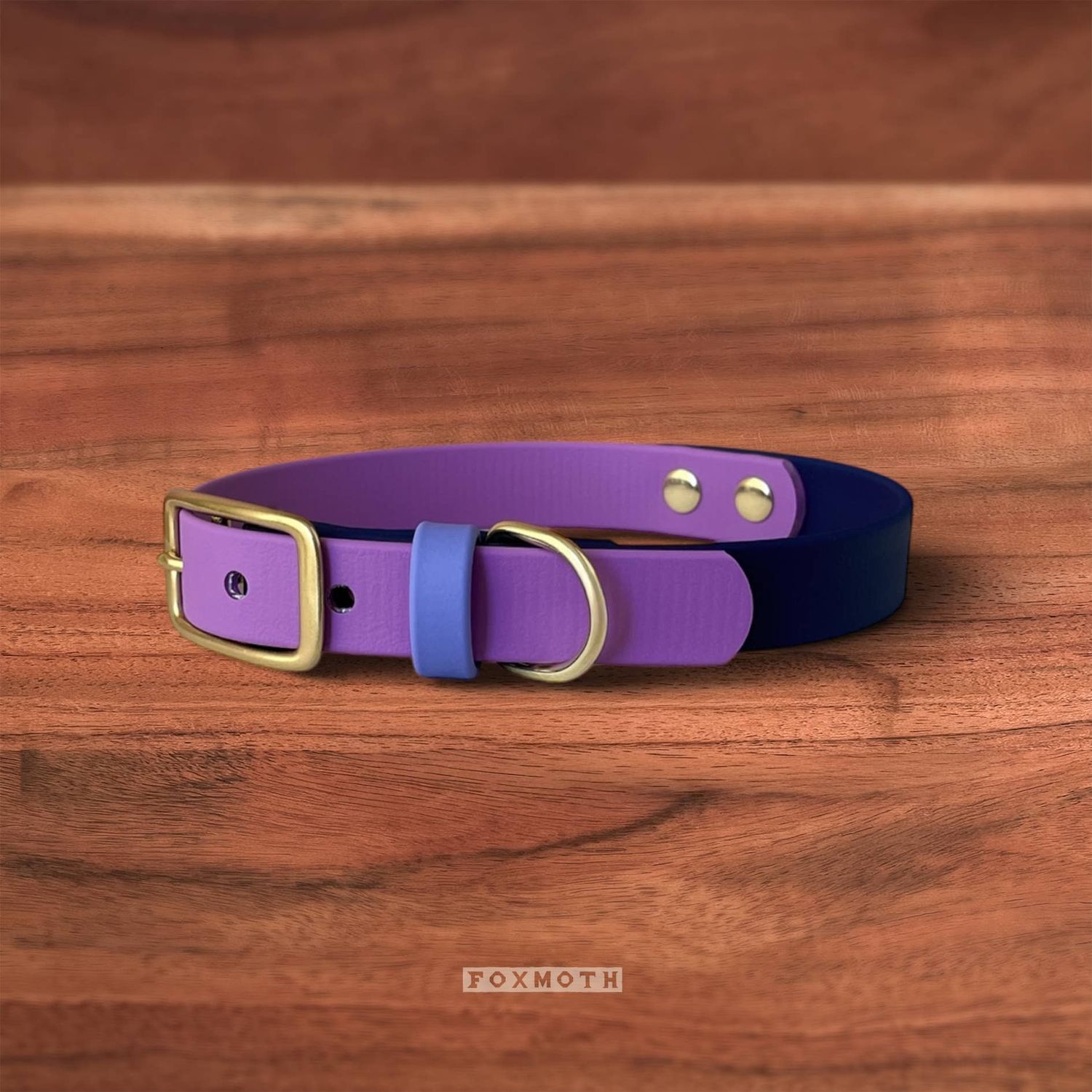 Waterproof Dog Collar &amp; Leash | Cosmic Berry Design