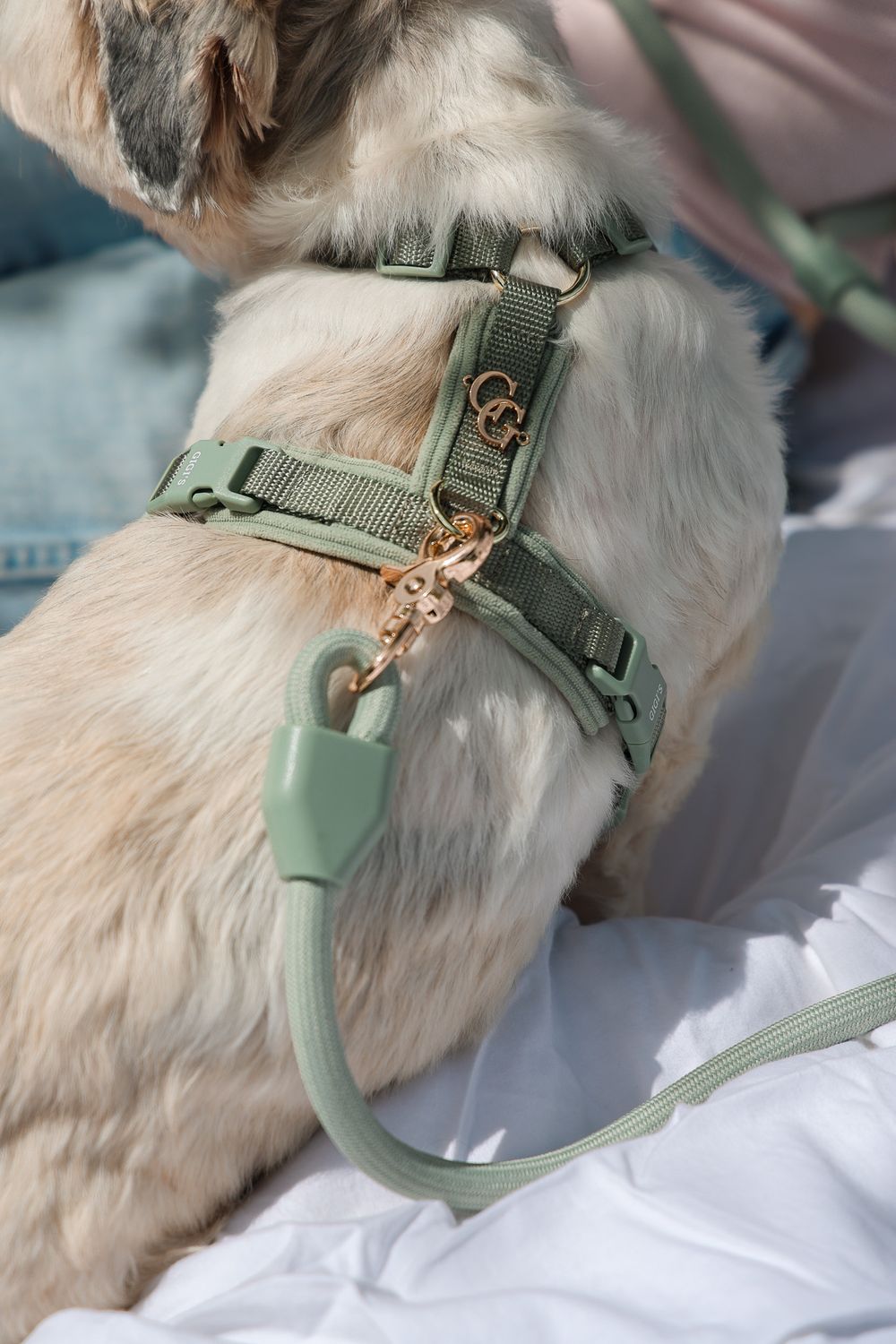 COMFORT SLEEK SAGE HARNESS