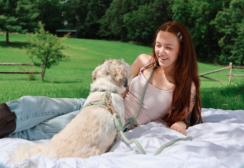 COMFORT SLEEK SAGE HARNESS