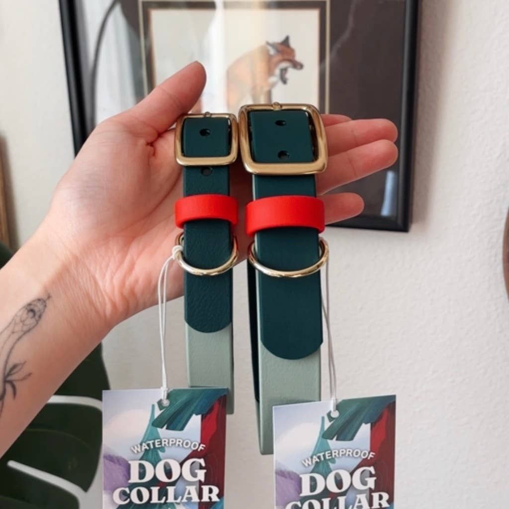 Waterproof Dog Collar &amp; Leash | Strawberry Matcha Design