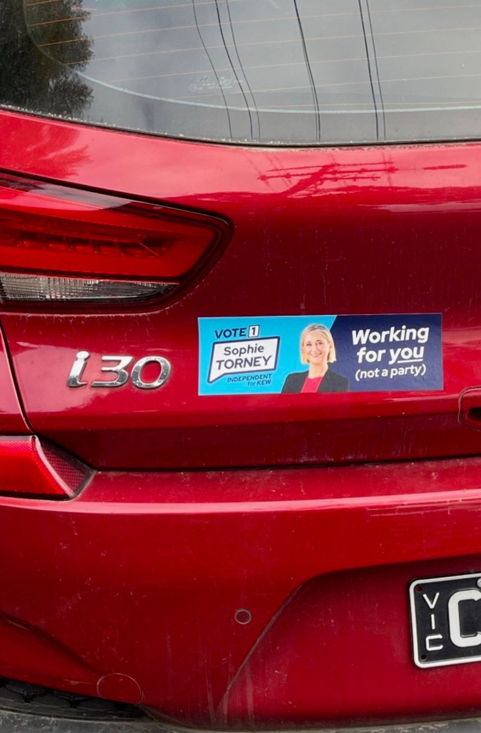 Sophie Torney Bumper Sticker