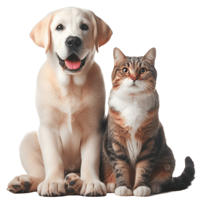 PET