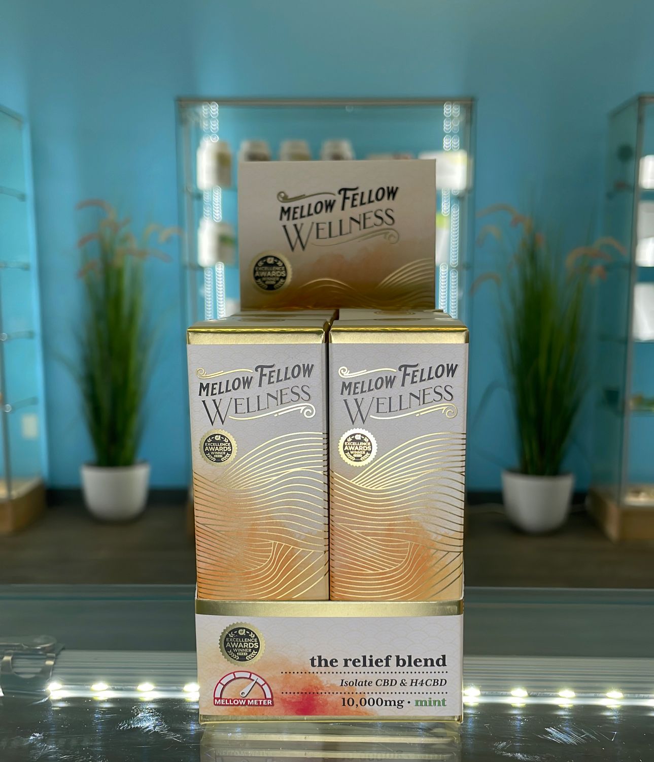 Mellow Fellow Wellness Vigor Full Spectrum CBD Tincture, 10000mg, Mint
