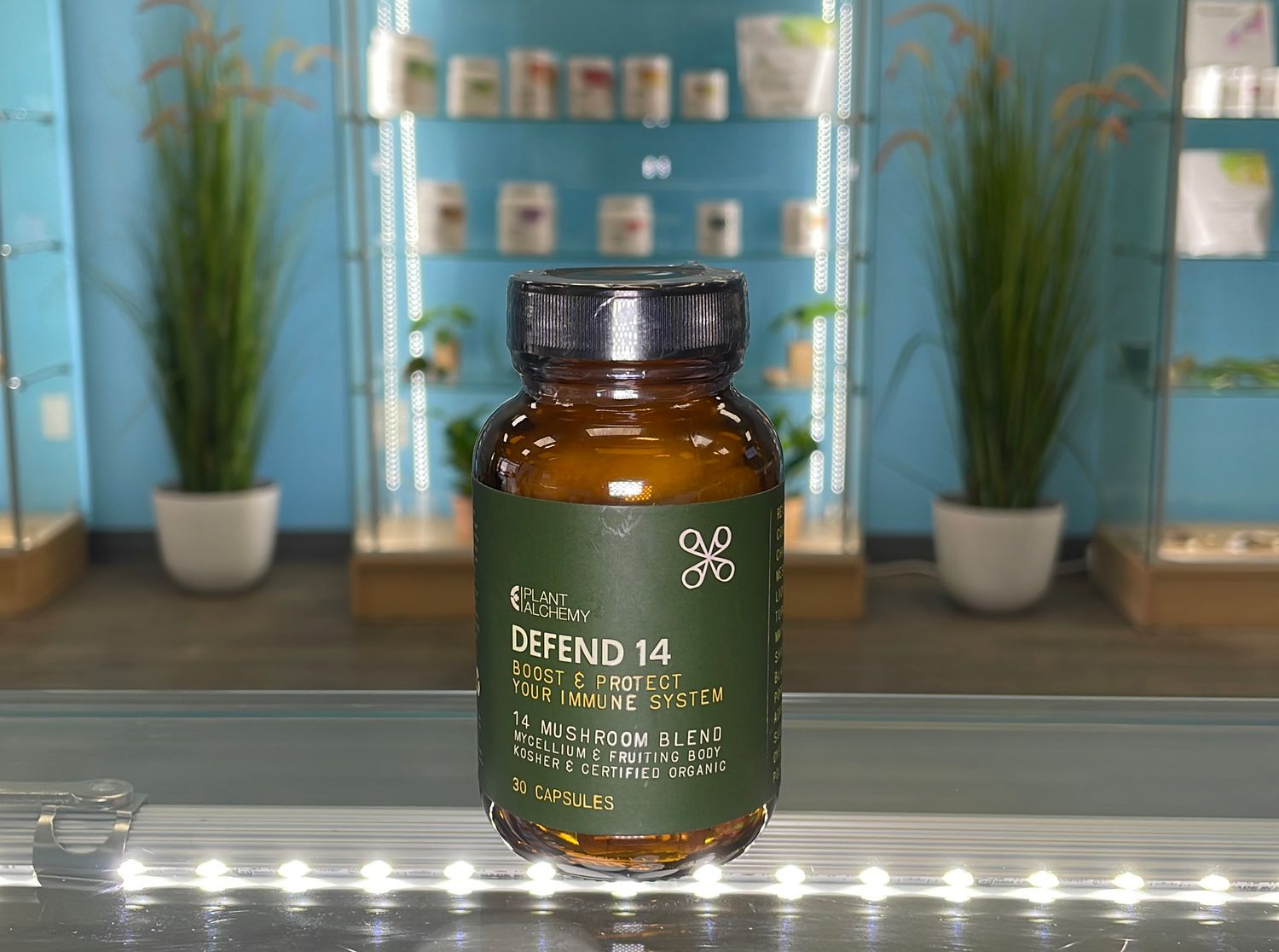 Plant Alchemy Defend 14 Mushroom capsules