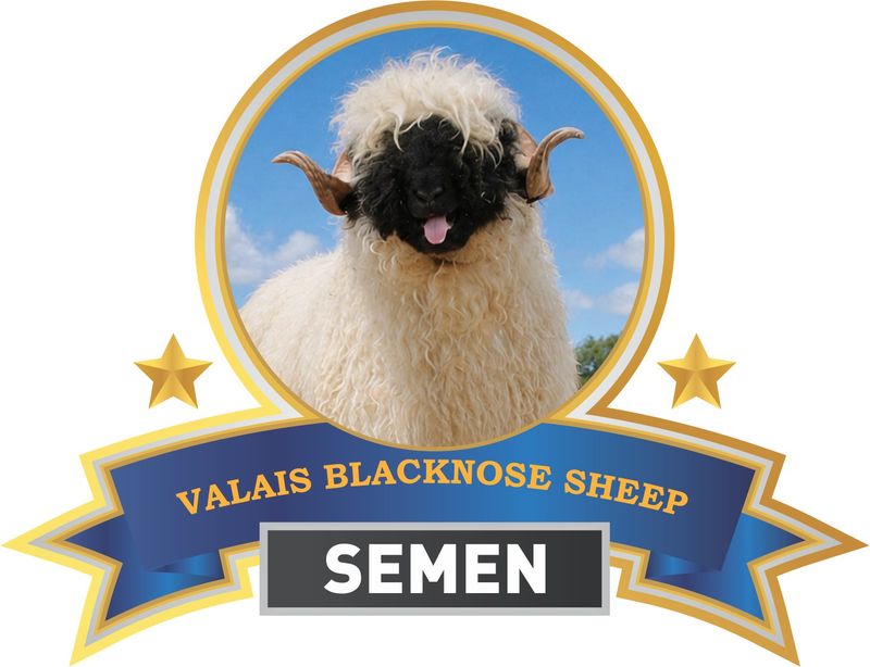 Semen