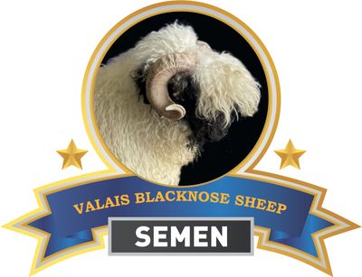Semen