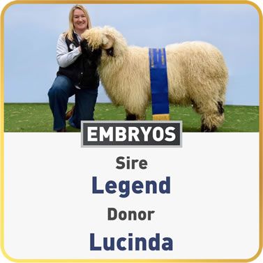 Lucinda & Legend