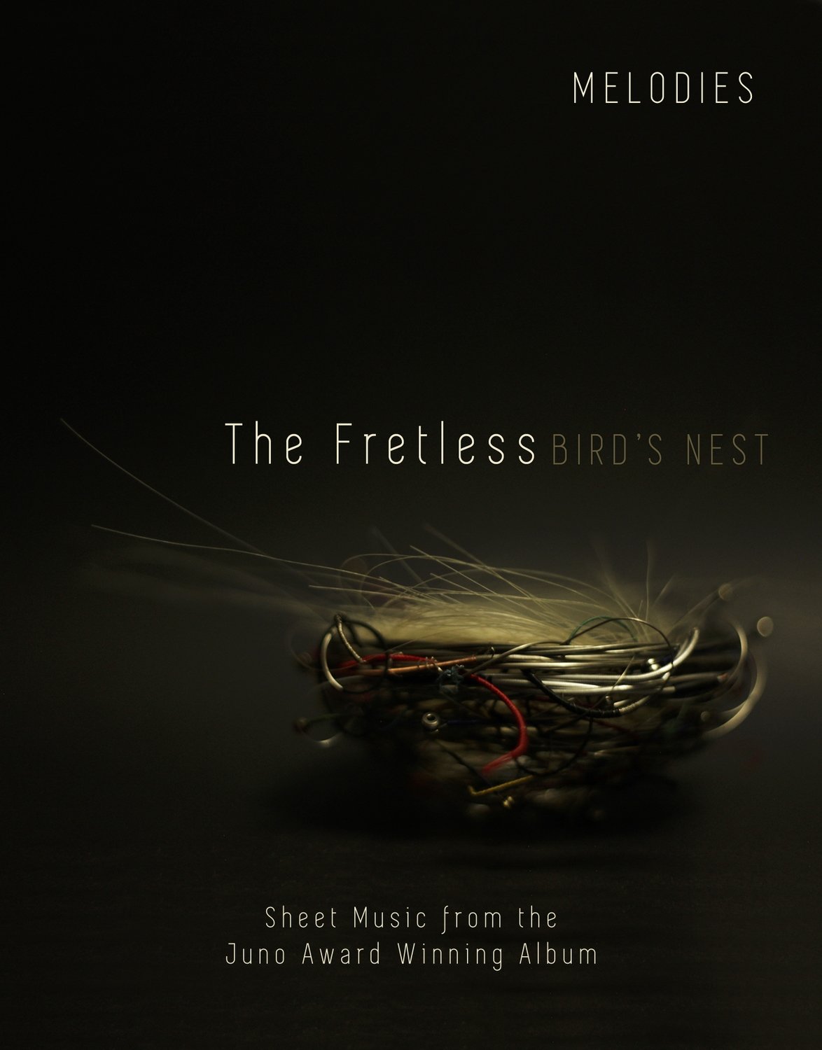 Digital Melody Book - Bird's Nest Digital Melody Book - Bird's Nest