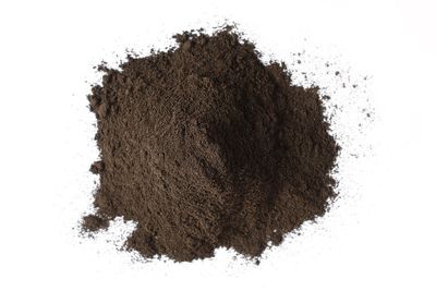 Black Walnut Hull Powder (Juglans nigra)