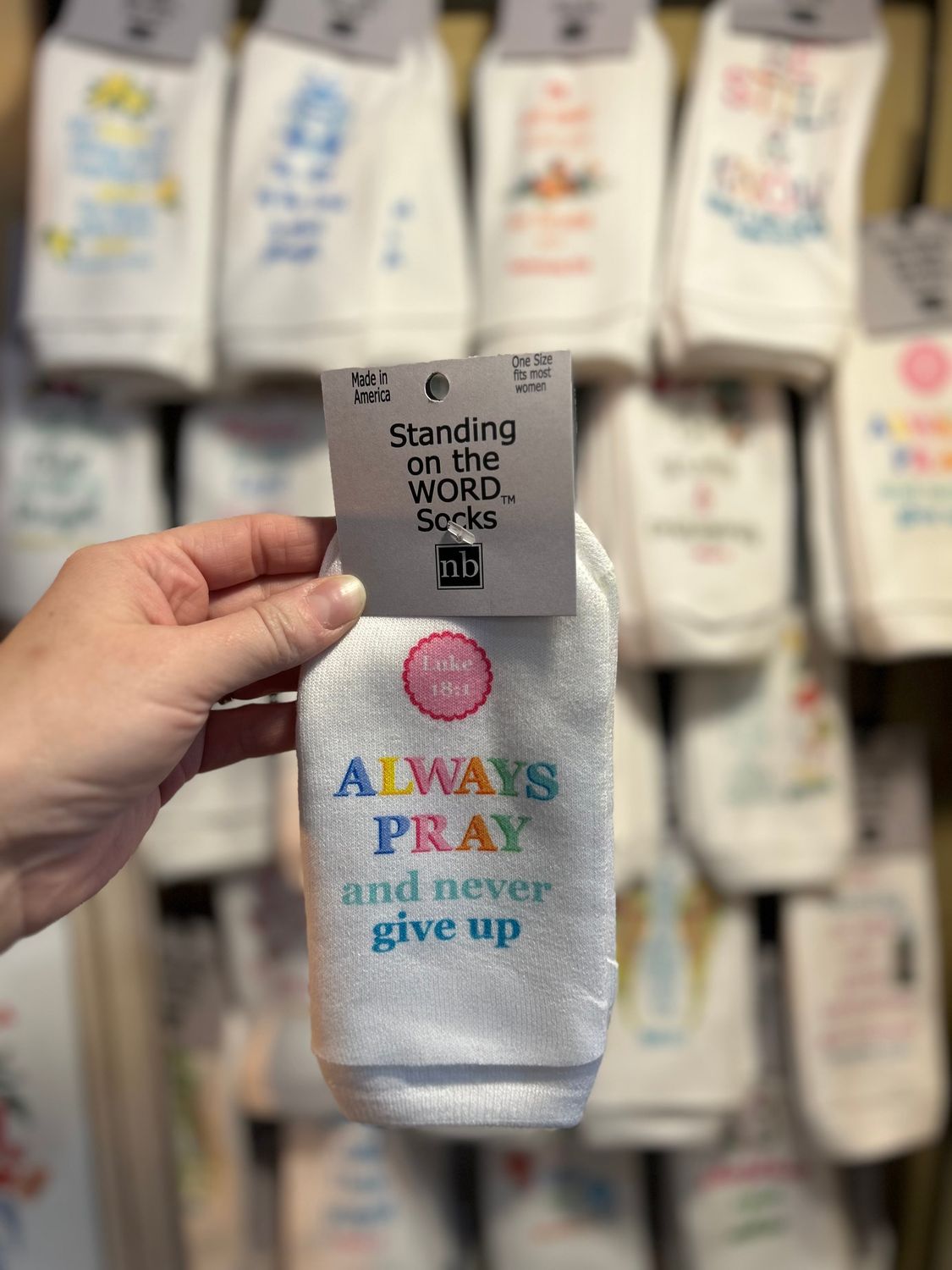 Always Pray and Never Give Up...- Standing on the Word Socks