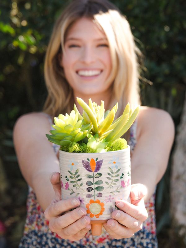 Pots &amp; Planters